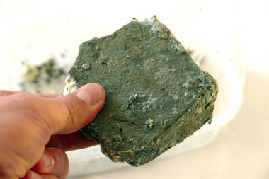 Küflü peynir, yakın plan küflü peynir, penisilin hammadde peynir küfü.,