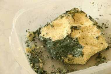 Küflenmiş yeşil peynir yemenin zararları,