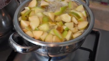 Elma kompostosu yapmak, elma parçalarını demlikte kaynatmak, ev yapımı elma suyu yapmak, taze doğranmış elma parçalarını tencerede kaynatmak, ev yapımı elma suyu yapmak.,