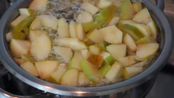 Robiąc Kompot Jabłkowy Posiekane Kawałki Jabłka Wrzące Garnku Robiąc Domowej — Wideo stockowe