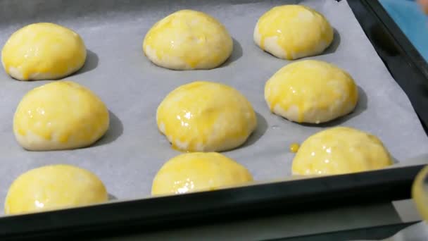 Proceso Cepillado Huevos Masa Pastelería Cruda Sobre Papel Hornear — Vídeo de stock