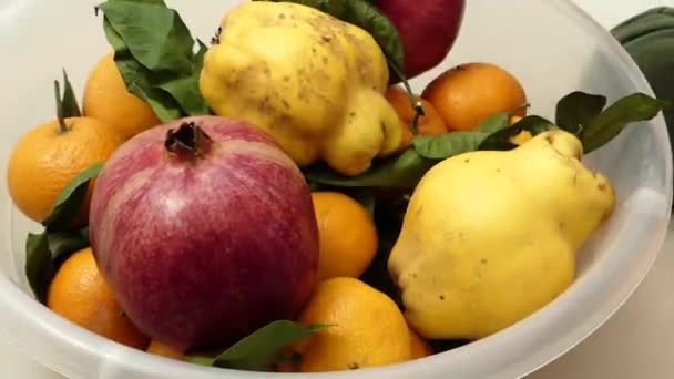 Winterfrüchte Stehen Einer Schüssel Zusammen Quitte Mandarine Orange Und Granatapfel — Stockvideo