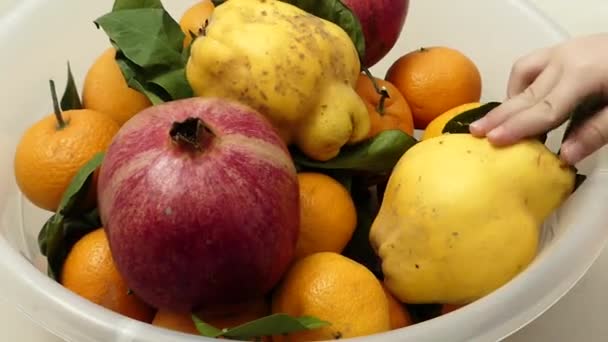 Winterfrüchte Stehen Einer Schüssel Zusammen Quitte Mandarine Orange Und Granatapfel — Stockvideo