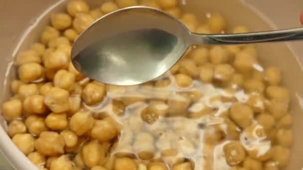煮熟的生鹰嘴豆 浸水的鹰嘴豆和膨大的 特写的生鹰嘴豆粒 — 图库视频影像