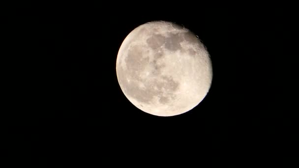 Noche Luna Llena Luna Llena Brillante Primer Plano Luna Llena — Vídeos de Stock