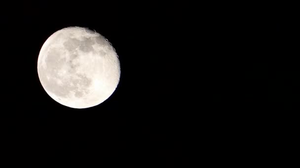 Noite Lua Cheia Lua Cheia Brilhante Close Vídeo Lua Cheia — Vídeo de Stock