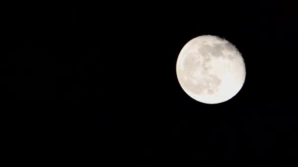 Nacht Und Vollmond Heller Vollmond Nahaufnahme Vollmond — Stockvideo