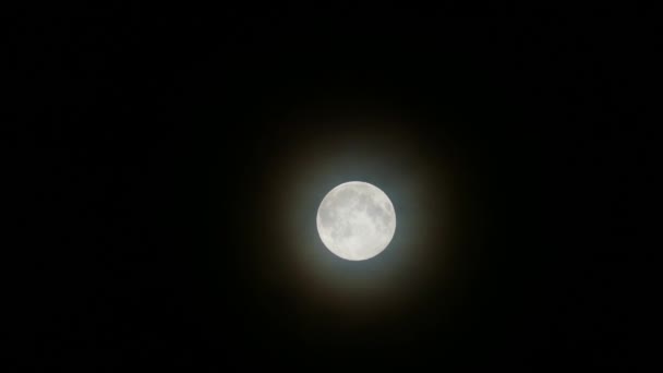 Night Full Moon Bright Full Moon Close Full Moon — 图库视频影像