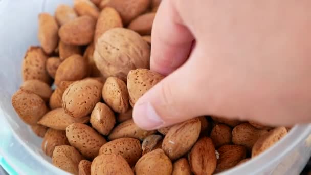Close Person Hand Dry Shelled Almonds Shelled Almonds — Video Stock