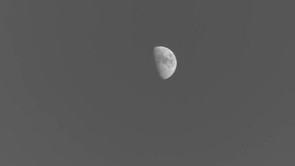 Czarny Biały Przezroczysty Świecący Księżyc Widok Księżyca Niebie Ciągu Dnia — Wideo stockowe