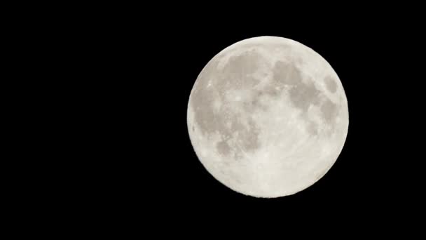 Noche Luna Llena Luna Llena Brillante Primer Plano Luna Llena — Vídeos de Stock