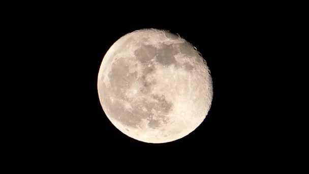 Ночь Полная Луна Яркая Полная Луна Видео Полнолуния Крупным Планом — стоковое видео