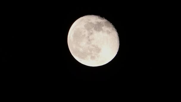 Noche Luna Llena Luna Llena Brillante Primer Plano Luna Llena — Vídeos de Stock