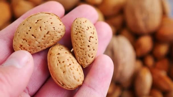 Close Person Hand Dry Shelled Almonds Shelled Almonds — Stockvideo