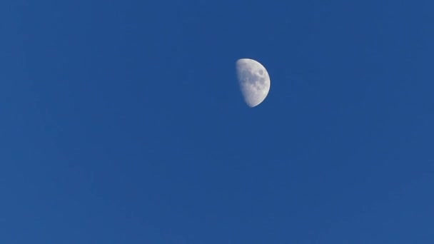 Transparent Shining Moon Blue Sky View Moon Daytime Sky Blue — Stock Video