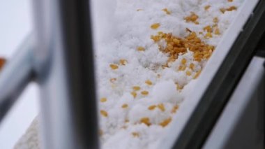 Kışın hayvanları düşünmek, pencerenin önüne yemek koymak.,