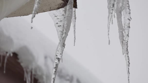 冬の屋根の氷柱氷は危険です冬の寒さと氷の氷柱 — ストック動画