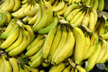 Manavda muzlar, satış reyonunda çok miktarda muz.,