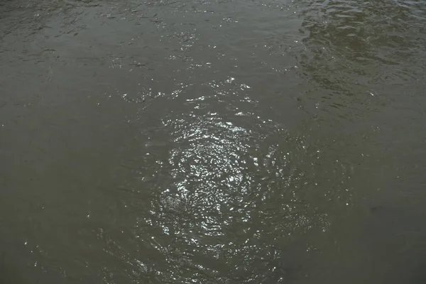 浑浊的水 溪流中的浑浊的水 — 图库照片