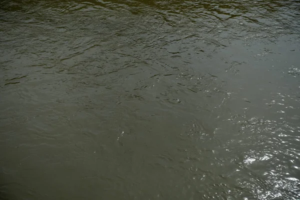 Смердюча Вода Крупним Планом Брудна Вода Струмка — стокове фото