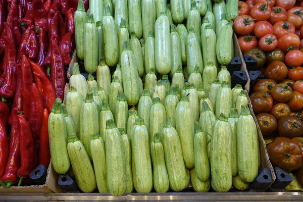 Fresh Zucchini Greengrocer Aisle Zucchini Lined Sale Large Quantities — Stock Photo, Image