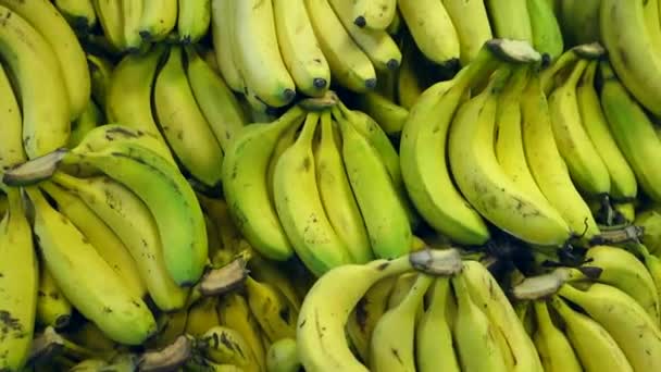 Bananen Gemüsehändler Eine Große Menge Bananen Verkaufsgang — Stockvideo