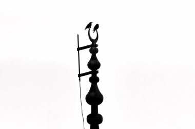 Caminin sonunda tüneyen karga kuşları, minare camii ve kuşlar, minare ve kuş siluetleri,