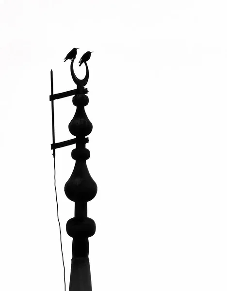Kraaivogels Die Aan Het Einde Van Minaret Van Moskee Minaret — Stockfoto