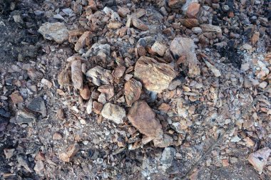 Yanmış kömür külleri, yakın kömür külü,