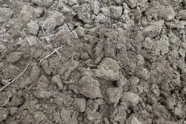 Kazı küreğiyle bahçeyi dikmek için toprağı kazıyoruz.,