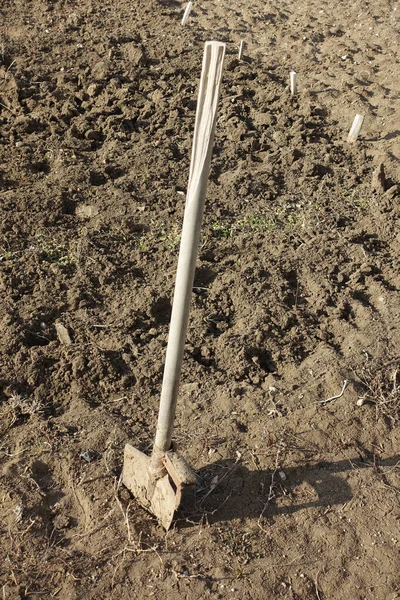 İlkbaharda ekim için toprak hazırlığı, kazı küreğiyle çapalama.,
