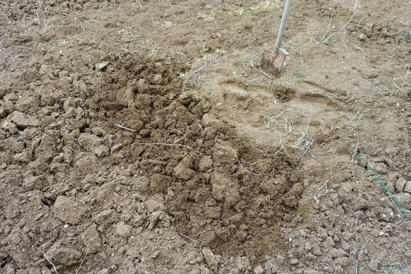 春の植え付けのための土壌準備 掘削シャベル付きの家 — ストック写真