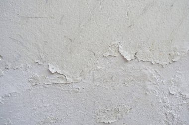 Duvar küflü ve nemden deforme olmuş.,