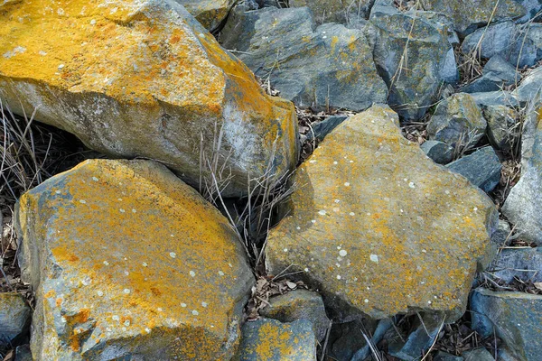 Alte Moosbewachsene Felsen Gelbe Moosbewachsene Felsbrocken Bemooste Felsen Und Die — Stockfoto
