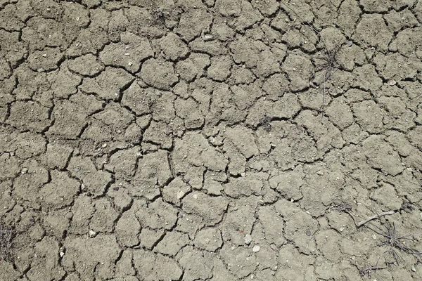 Pękanie Rozszczepianie Gleb Powodu Erozji Gleby Suszy — Zdjęcie stockowe