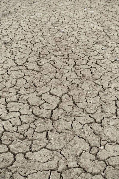 Gwałtownie Schnąca Susza Glebowa Pęknięciami Pęknięciami Spowodowanymi Globalnym Ociepleniem — Zdjęcie stockowe