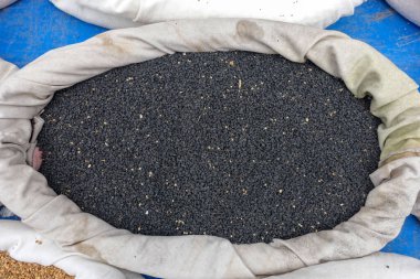 Paketlenmemiş soğan tohumları organik ataları kumaş torbalarda satılıyor.,
