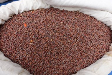 Paketlenmemiş turp tohumları bez torbalarda satılıyor, organik tohumlar, tohum satıcıları pazarda tohum satıyor.,