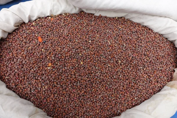 Paketlenmemiş turp tohumları bez torbalarda satılıyor, organik tohumlar, tohum satıcıları pazarda tohum satıyor.,