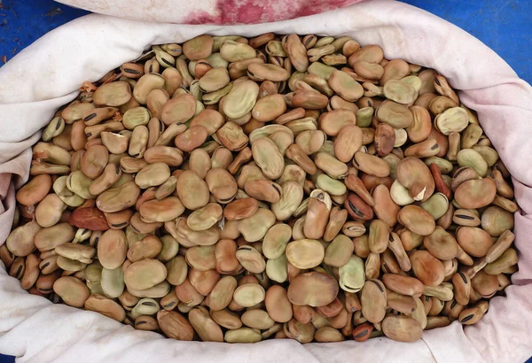 Paketlenmemiş geniş fasulye tohumu, organik geniş fasulye tohumu, tohum satıcısı ve tohum dükkanlarında bez torbalarda satılan ataların tohumları.,