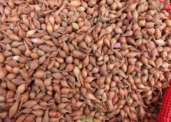 Paketlenmemiş soğan kumaş torbalarda satılıyor, arpacık soğanı tohumları ekiliyor.,