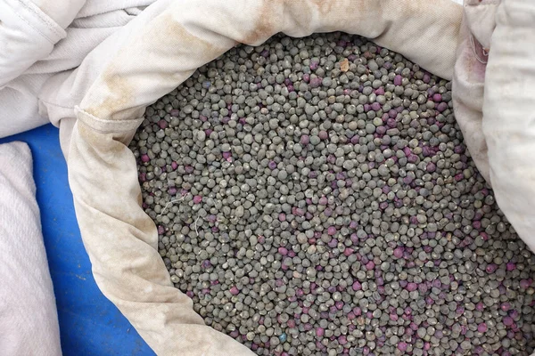 Paketlenmemiş bamya tohumları tohum dükkanlarında kumaş torbalarda satılıyor, çok miktarda organik bamya tohumu.,