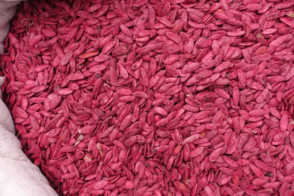 Paketlenmemiş salatalık tohumları, organik salatalık tohumları, tohum satıcısı ve tohum dükkanlarında kumaş torbalarında satılan ataların tohumları.,