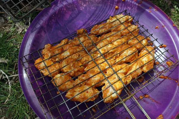 Enjoying Barbecue Picnic Arranging Chicken Cutlet Sauce Wire Grill Grilled — Stock Photo, Image