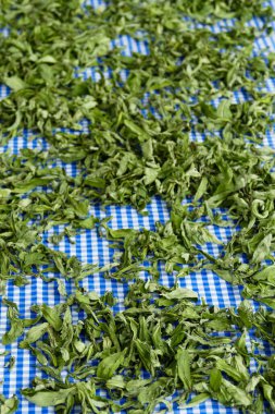 Kurutulmuş nane, kurutulmuş nane, kurutulmuş nane, yakın plan.,