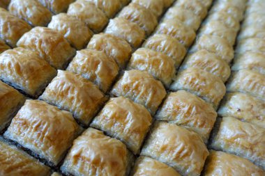Fırın tepsisinde dilimlenmiş ünlü Türk baklavası, Gaziantep baklava,