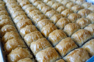 Fırın tepsisinde dilimlenmiş ünlü Türk baklavası, Gaziantep baklava,
