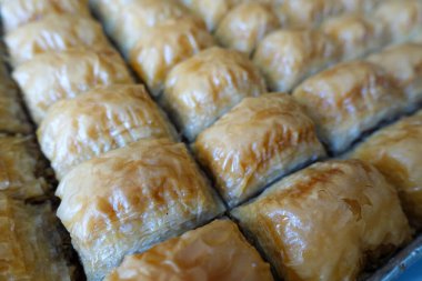 Fırın tepsisinde dilimlenmiş ünlü Türk baklavası, Gaziantep baklava,