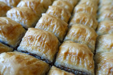 Türk baklavası, yakın plan baklava tatlısı, hindide baklava tatlısı, Gaziantep baklavası.,