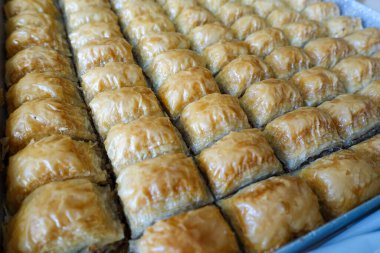 Fırın tepsisinde dilimlenmiş ünlü Türk baklavası, Gaziantep baklava,